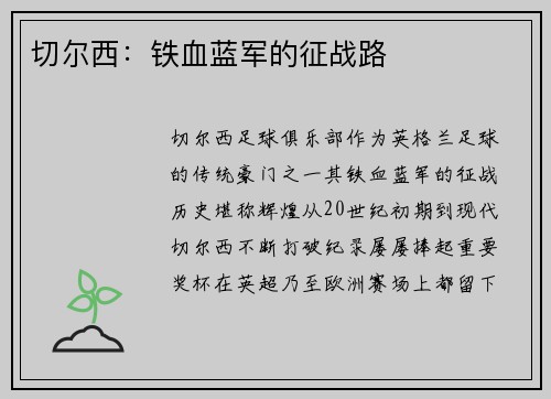 切尔西：铁血蓝军的征战路